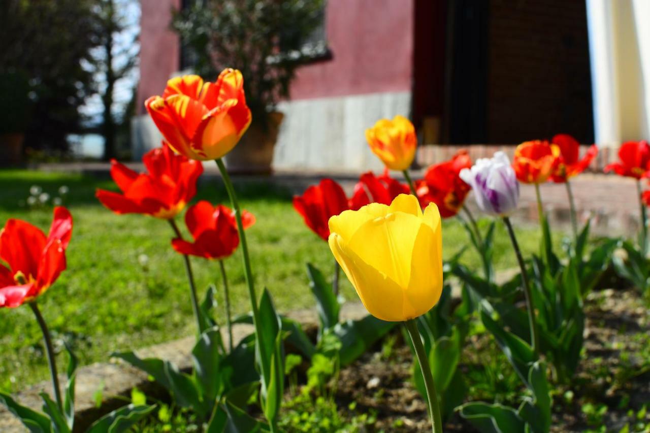 Agriturismo Tenuta Polledro Asti Dış mekan fotoğraf